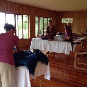 Polarity Therapy 2 training in the meditation hall at Shambhala, Golden Bay NZ, March 2015