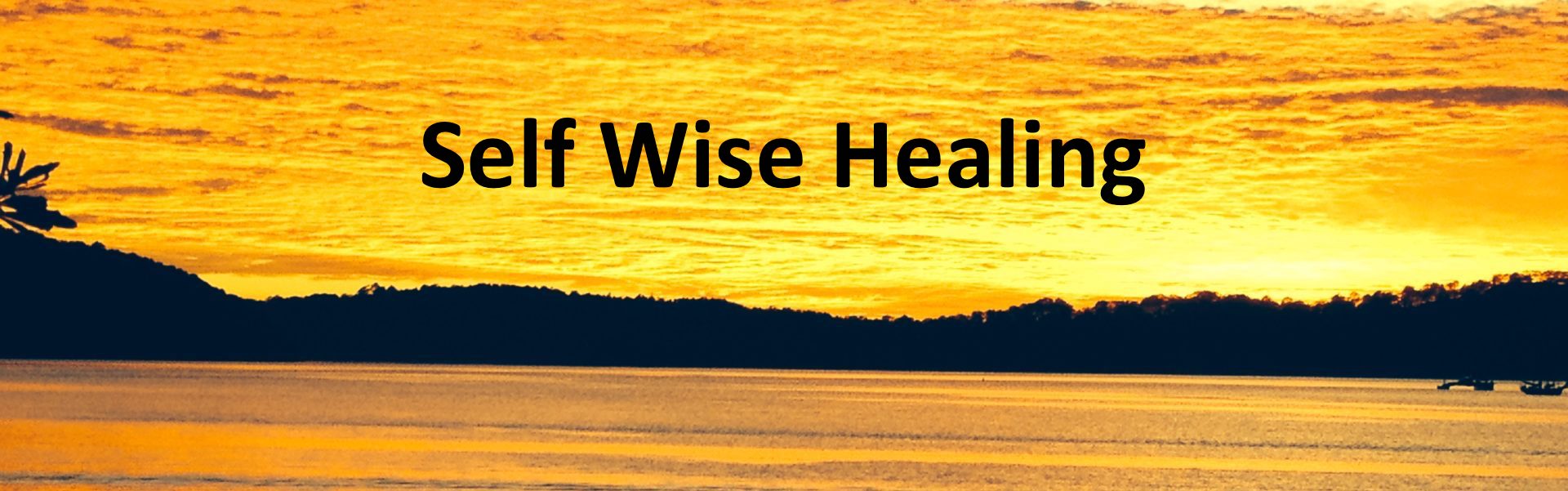 Selfwise Healing